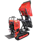 Mini Dumper Caixa Hidráulica c/ Elevação 500KG 10HP c/ Motor Briggs&Stratton A.E. Donker´s MD500HL